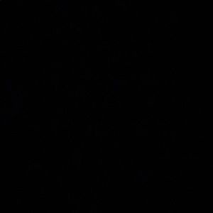 Meet your Posher, Dalia